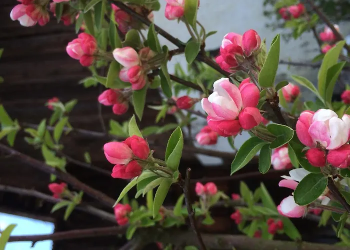 Herrnhaus Брикслегг